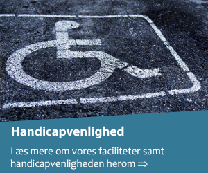 Handicapvenlighed