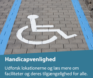 Handicapvenlighed